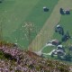 21_landschaft_natur_berge_erika