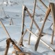 22_landschaft_natur_winter
