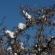 24_landschaft_natur_winter